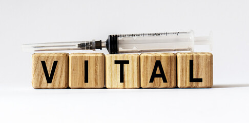 Text VITAL made from wooden cubes. White background
