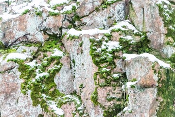 Granite rocks in winter, green moss and snow.