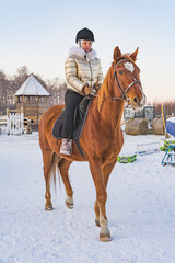 Beautiful caucasian woman with a horse on nature in winter on snow. Space for text.