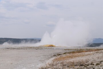 Geyser in Yellowstone National Park