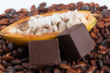 Cocoa fruit cut with raw cocoa beans and pieces of chocolate on a white background