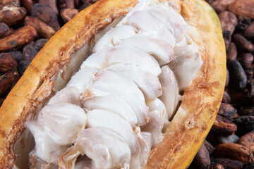 Cocoa fruit cut with raw cocoa beans top view