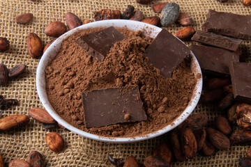 Powdered cocoa with pieces of chocolate on raw cocoa beans