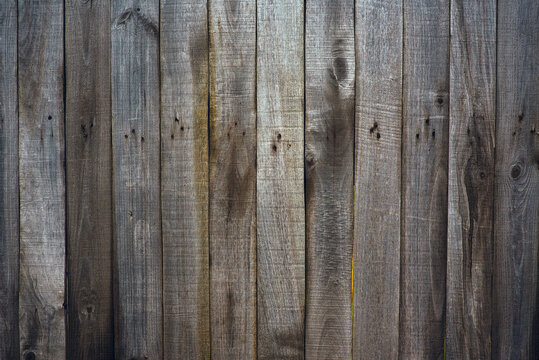 Fence of wooden, vertical slats. Texture. Close-up