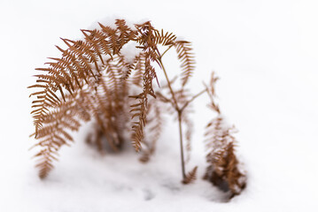 Winter in Poland © Piotr