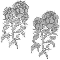 Vector design of a bouquet of flowers, in grayscale color