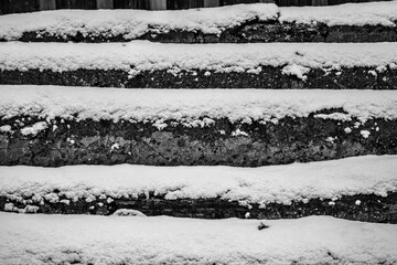 Baumstämme im Schnee