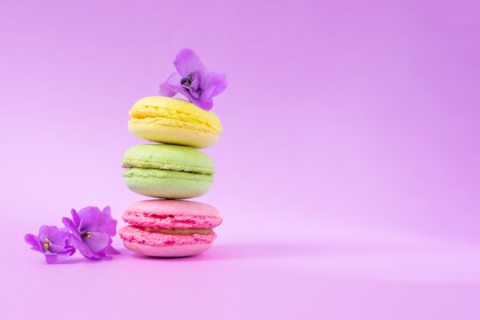 Three almond macarons decorated with flowers on pink background with copy space. French traditional pastry