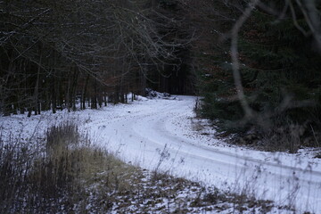 Schneeweg Waldwef Schnee Weg