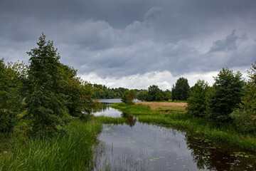 Fototapeta na wymiar natural summer landscape with river and trees in stormy weather