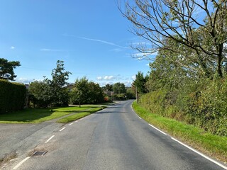 Fototapeta premium Looking up, Drury Lane, on a hot summers day in, Harrogate, Yorkshire, UK