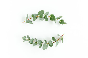 Fototapeta na wymiar Wreath frame made of branches eucalyptus and leaves isolated on white background. Flat lay, top view