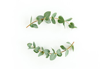 Wreath frame made of branches eucalyptus and leaves isolated on white background. Flat lay, top view