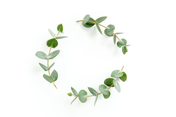 Wreath frame made of branches eucalyptus and leaves isolated on white background. Flat lay, top view