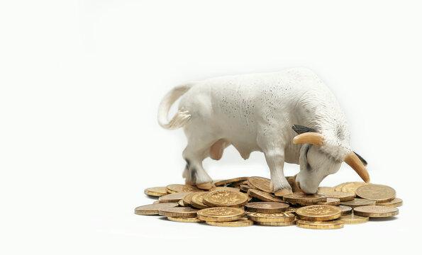 The Bull Is The Symbol Of 2021. Miniature Model Of A Bull With Money Coins. Business, Stock Exchange, Finance, Investment. Bull Market Wall Street Financial Concept With Copy Space. Selective Focus