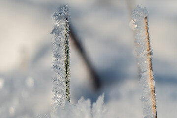 Vereiste Natur