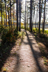 Fototapeta na wymiar A path through the woods at a campground in Mark Twain National Forest