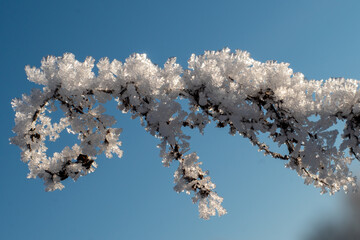 Vereiste Natur