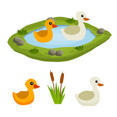 Ducks in the pond. Chicken swims in lake. Animal in wild and forest. Mother and yellow child of a bird in water. Flat cartoon.