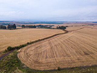 Drone aerial view of beautiful farm field cultivated with soybean in rural area of Paran&aacute; state, Brazil, on fog summer day. Concept of agriculture, farming, ecology, food, work, economy, industry.