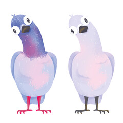 bird dove city dweller pest wings logo emblem drawn