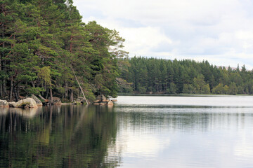 Obraz premium A view of Lock Lomond in Scotland