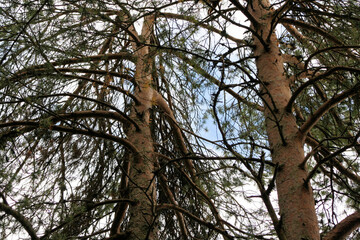 A view of Lock Lomond in Scotland