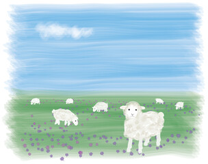 Obraz na płótnie Canvas Sheep in the Meadow - A flock of sheep in a flowered meadow.