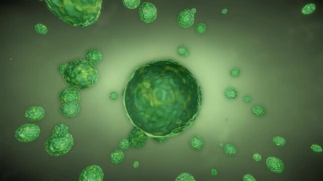 green bacteria, cells in the body