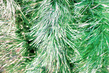 Green sparkling Christmas tinsel decoration, soft focus