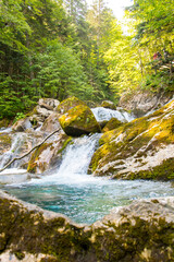 Turquoise river flowing in the Pyrenees