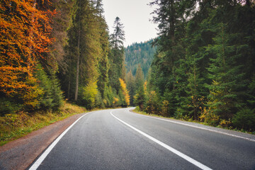 Road in forest at sunset in autumn. Beautiful mountain roadway, trees with green and orange foliage. Landscape with empty asphalt road through woodland in fall. Travel in Europe. Transportation