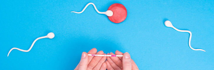 Active sperm swim in an egg on a blue background. The concept of pregnancy, fertilization of the egg. Top view with place for text