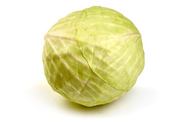 Fresh organic cabbage, close-up, isolated on white background