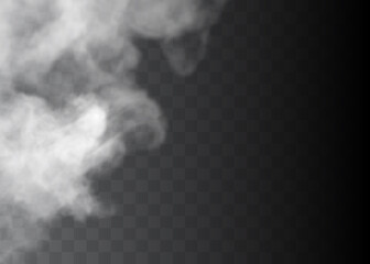 Fog or smoke isolated transparent special effect.