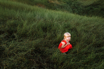 Naklejka na ściany i meble Portrait of a little beautiful girl on nature on summer day vacation. child in red dress is playing in the green grass at the sunset time. The concept of family holiday and time together.