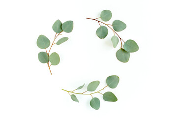 Wreath frame made of branches eucalyptus and leaves isolated on white background. Flat lay, top view - obrazy, fototapety, plakaty
