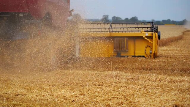 Agriculture machine harvesting crop in fields. Special technic in action. Agricultural technic in field. Heavy machinery, blue sky above field.
