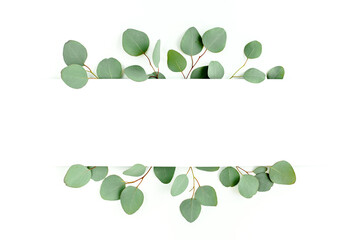 Frame, border made of green leaves eucalyptus isolated on white background. flat lay, top view