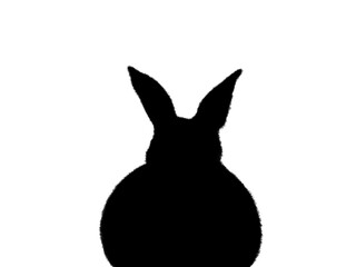 Easter bunny, Easter rabbit, running, standing, sitting, herd, family,
