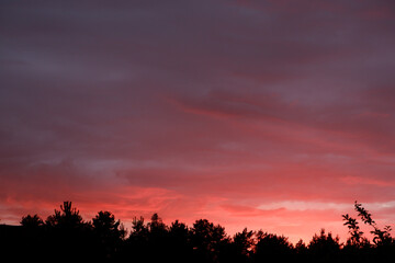 Beautiful crimson sunset. Cloudy background in red colors.