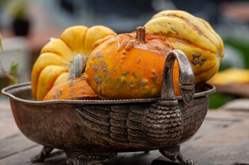 Close-up of a bronze fruit bawl with ornamental squash