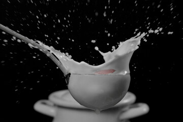 Splash Fresa