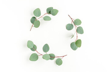 Wreath frame made of branches eucalyptus and leaves isolated on white background. Flat lay, top view