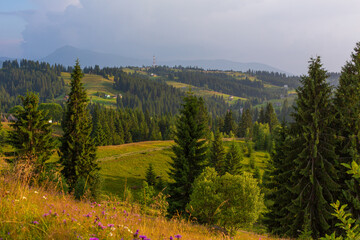 Summer nature landscape of Karpaty Mountains. a