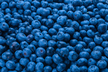 Fresh blueberry background.