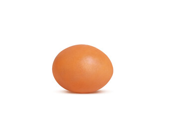 chicken egg brown on white background