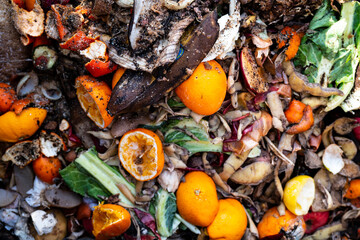 Organic waste and compost