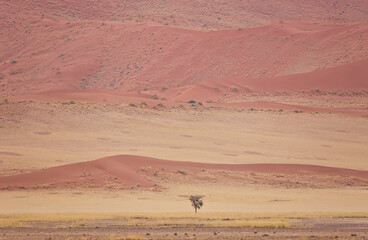 Sossus Vlei, Sesriem, Parque Nacional Namib Naukluft, Desierto del Namib, Namibia, Afirca