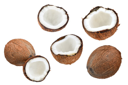 Coconut isolated on white background. Space for text or design.